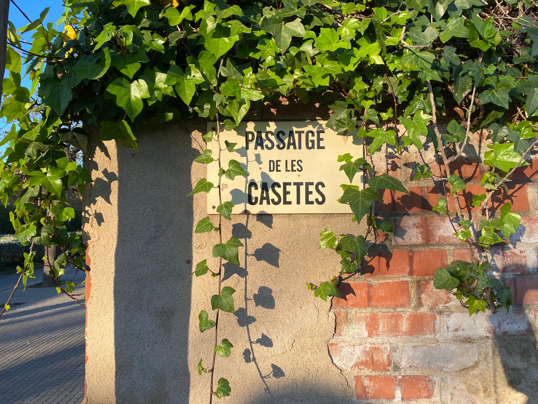 Chavanoz : condamnation d'un jeune homme pour agression sur une ponette