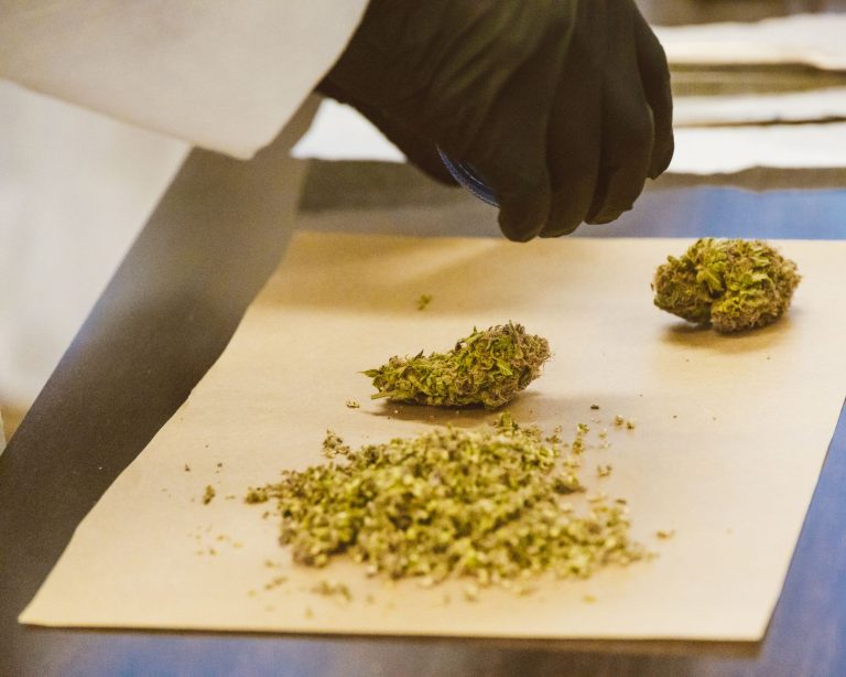 Trafic de cannabis à Bron : une saisie de 30 kilos qui interroge