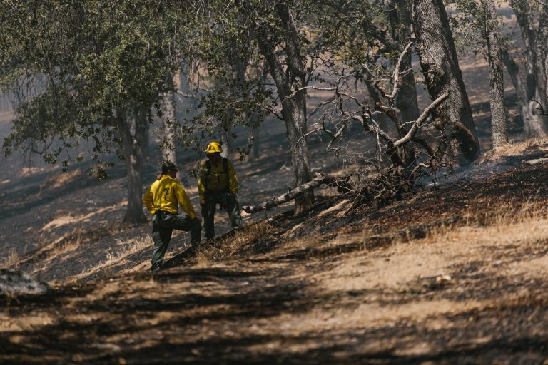 Incendie au parc de Thivel : la piste des pétards soulève des questions
