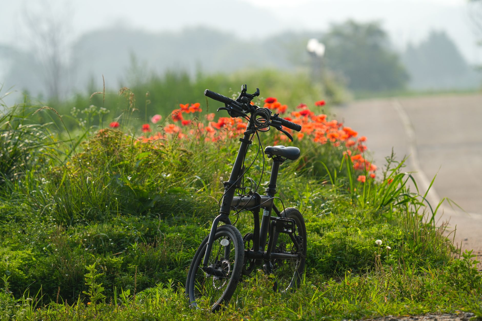 Brompton ou Tern : quel vélo pliant choisir ?