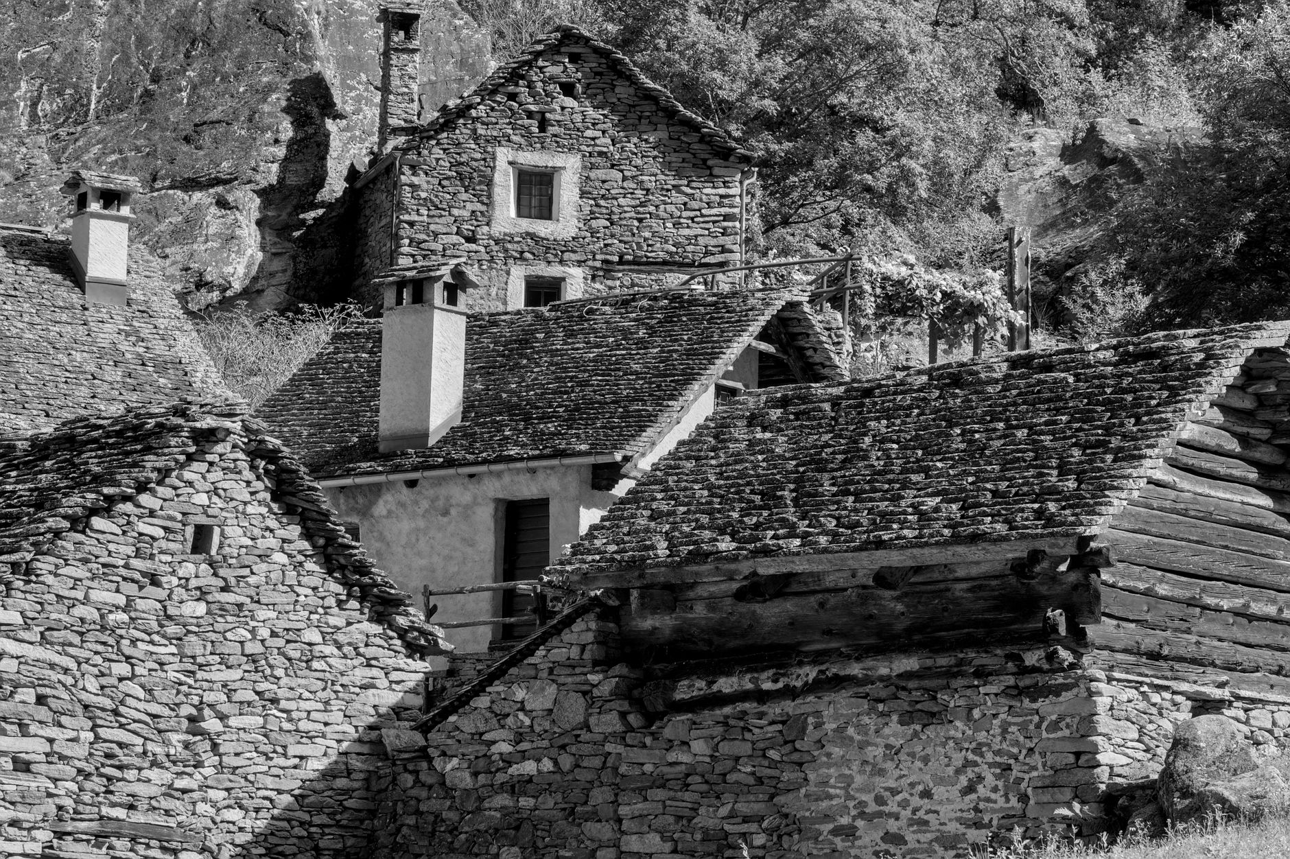 La Croix-Rousse entre tradition et modernité : un jeune boucher prend les rênes de la Maison Vessière
