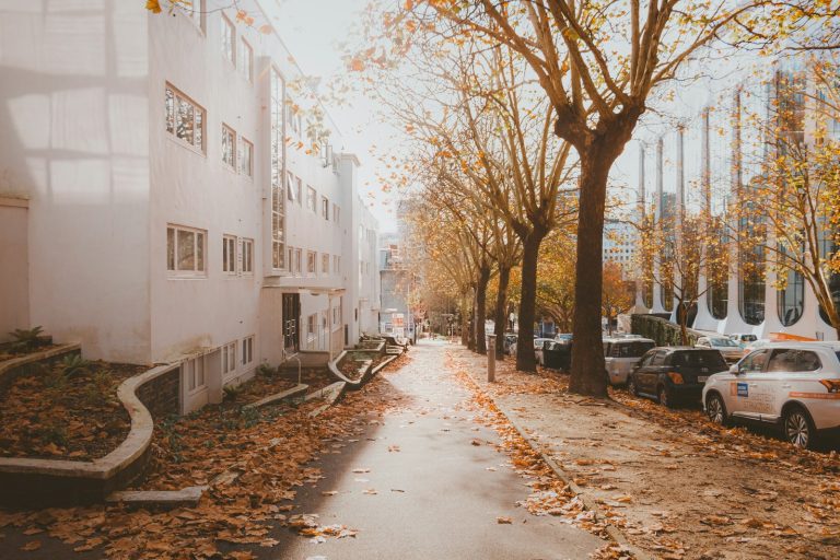 La Guillotière se mobilise : un quartier en quête de propreté