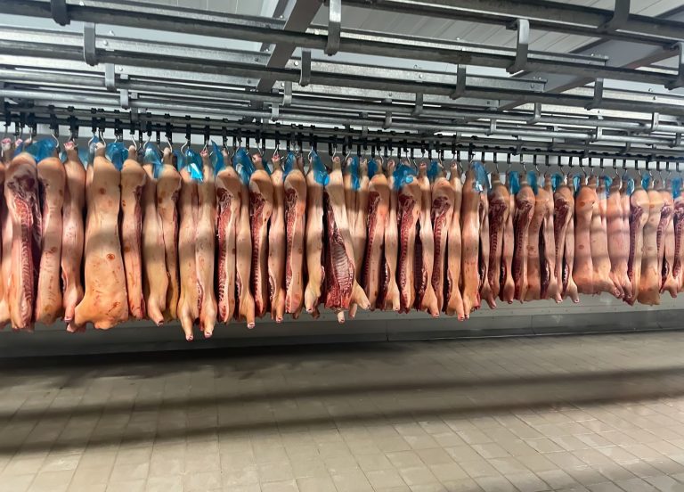 L&rsquo;abattoir de Saint-Romain-de-Popey : un souffle d&rsquo;espoir pour l&rsquo;économie locale