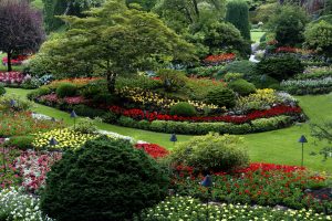 Les travaux au jardin des Curiosités : promesses d&rsquo;un futur enchanteur ou désillusion ?